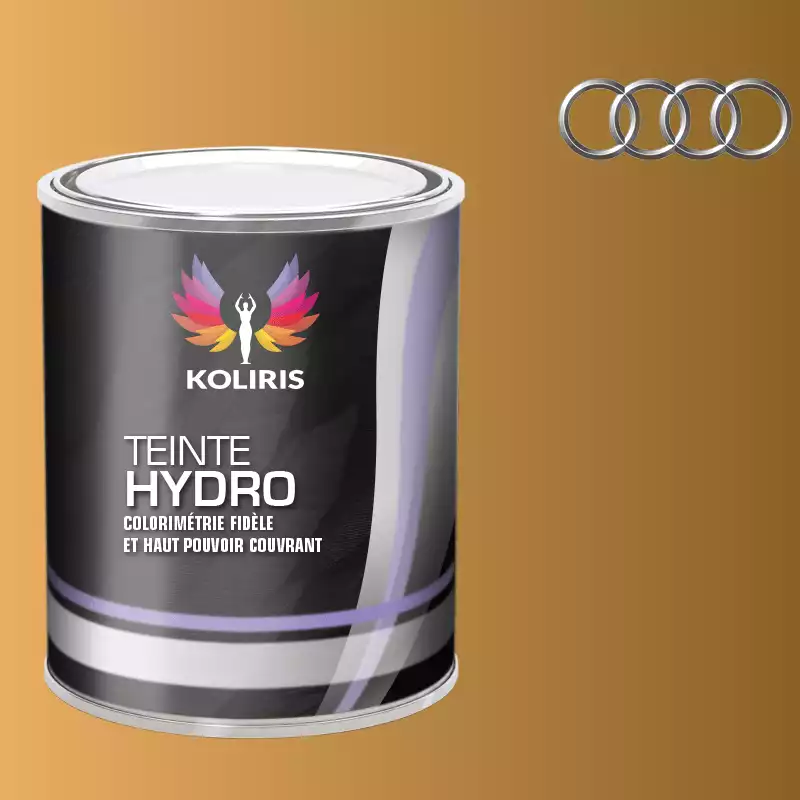 Peinture voiture hydro Audi