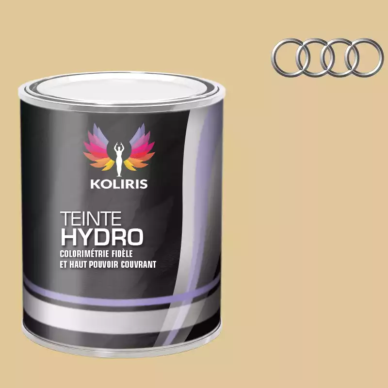 Peinture voiture hydro Audi