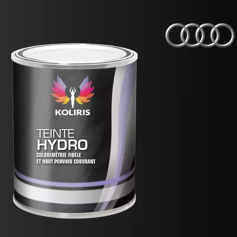 Peinture voiture hydro Audi