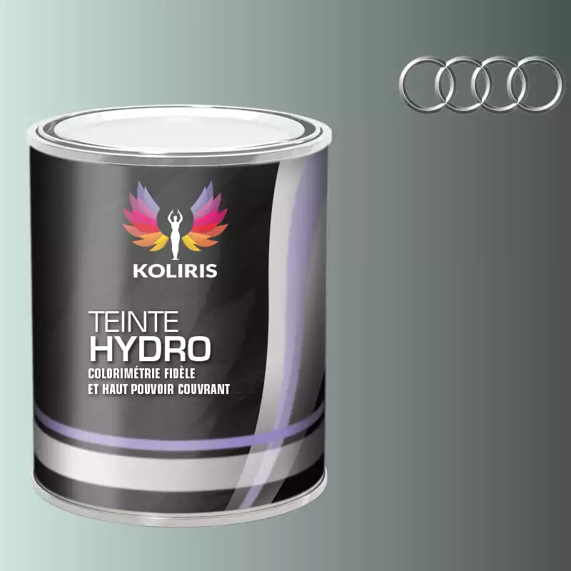 Peinture voiture hydro Audi