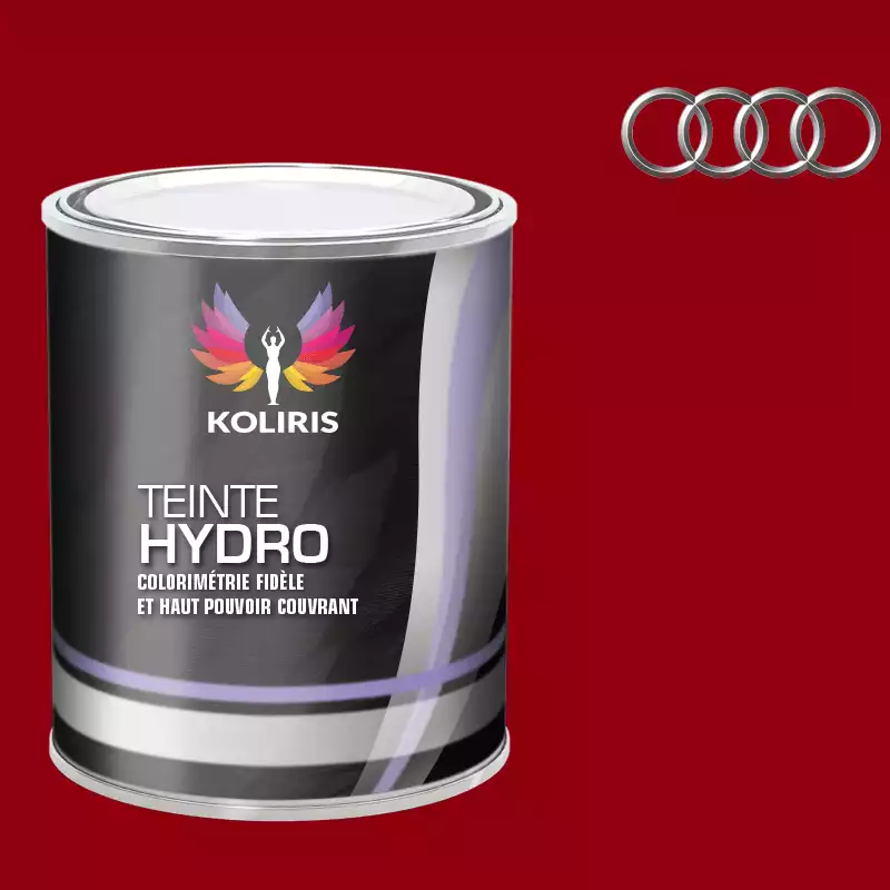 Peinture voiture hydro Audi