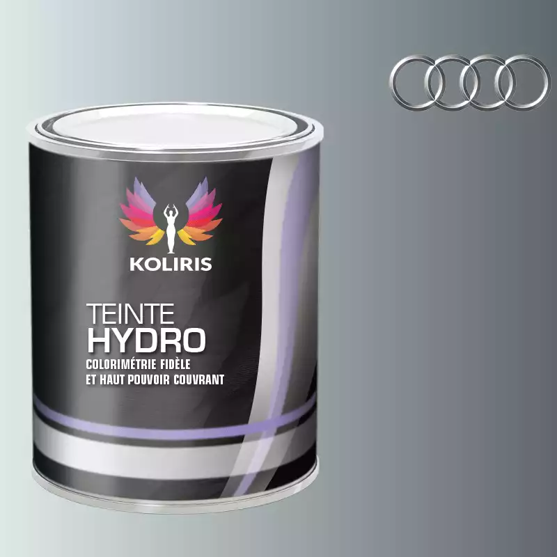 Peinture voiture hydro Audi