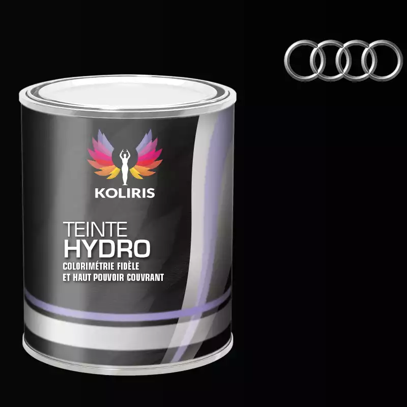 Peinture voiture hydro Audi