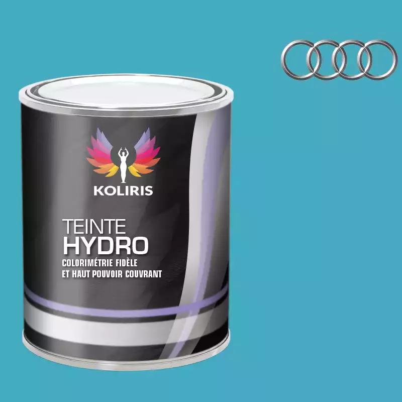 Peinture voiture hydro Audi