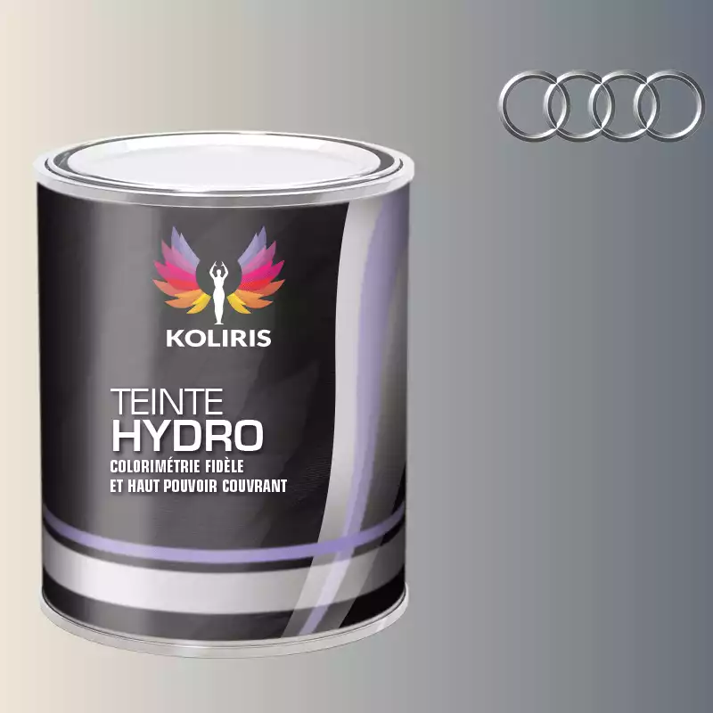 Peinture voiture hydro Audi