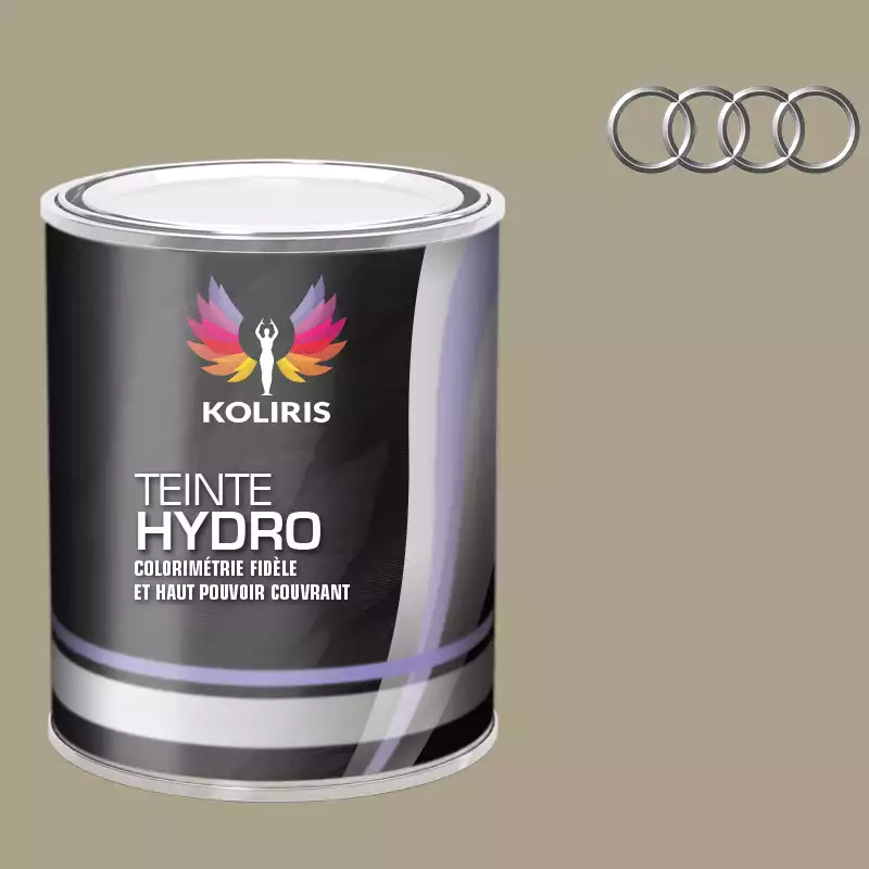 Peinture voiture hydro Audi