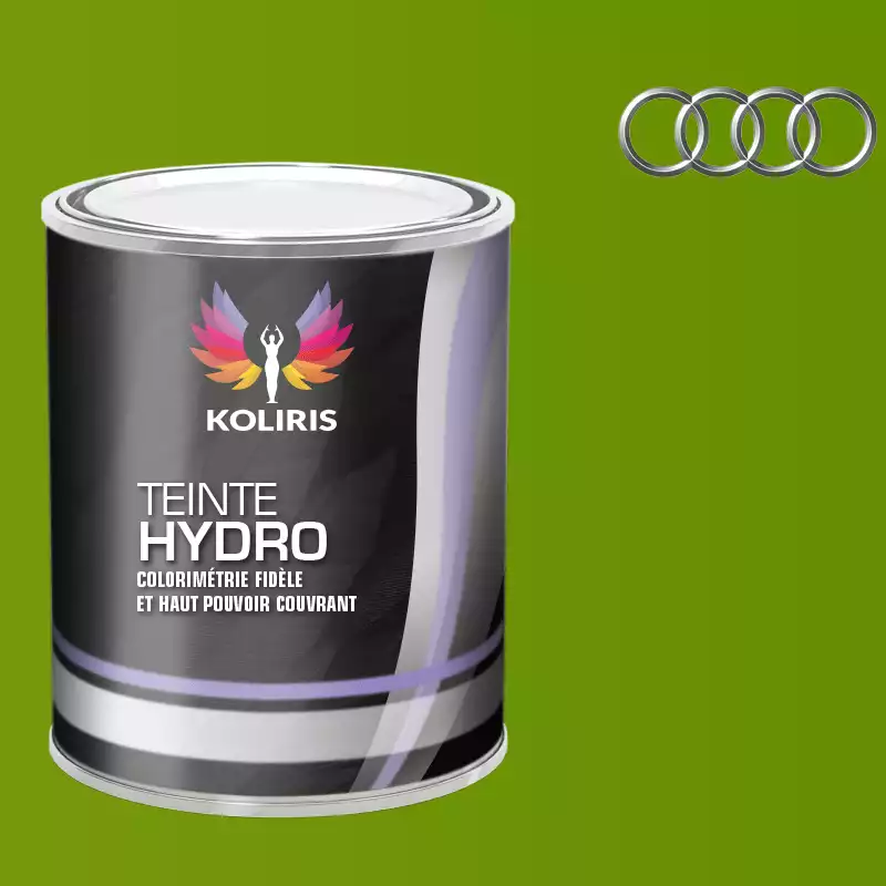 Peinture voiture hydro Audi