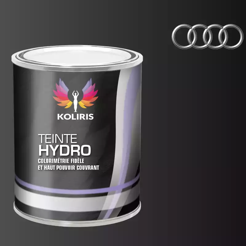 Peinture voiture hydro Audi