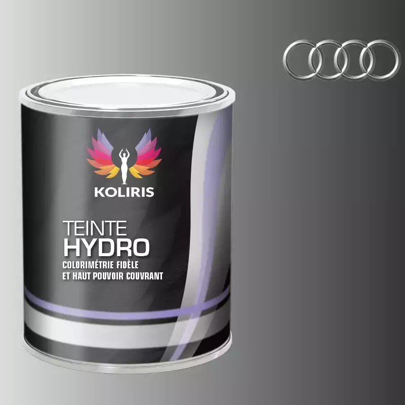 Peinture voiture hydro Audi