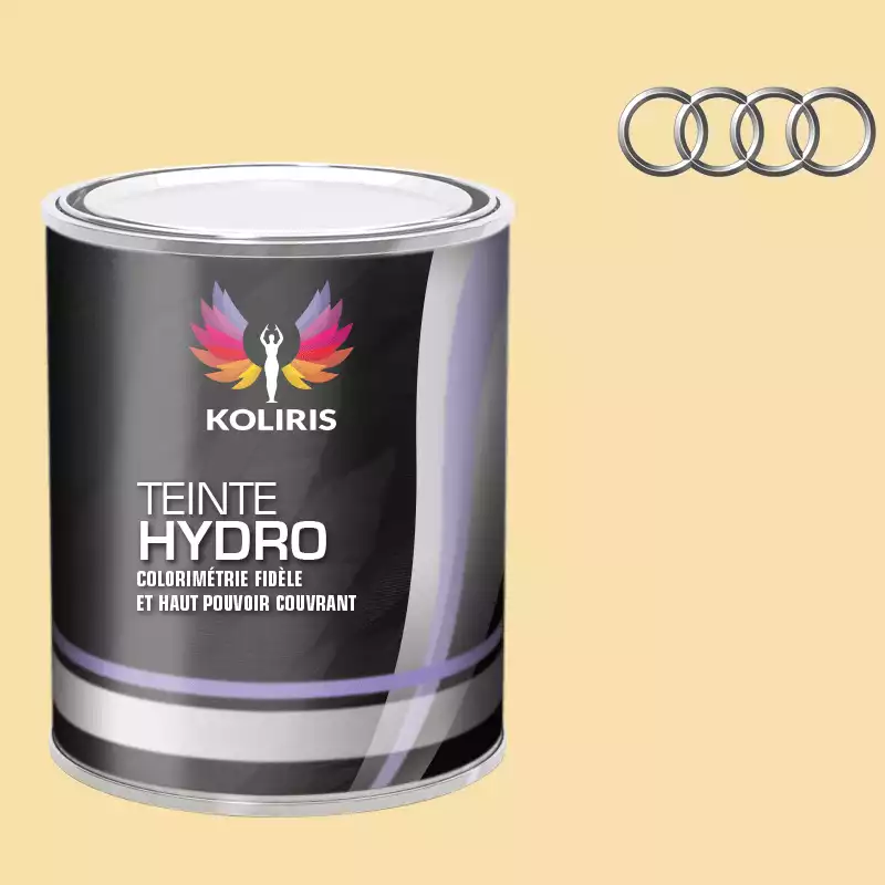 Peinture voiture hydro Audi