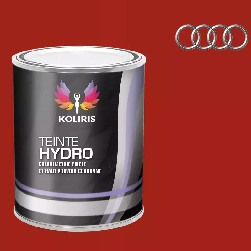 Peinture voiture hydro Audi