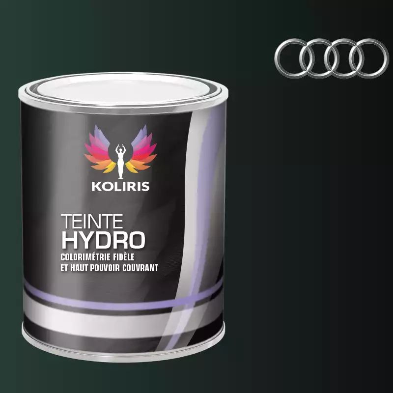 Peinture voiture hydro Audi