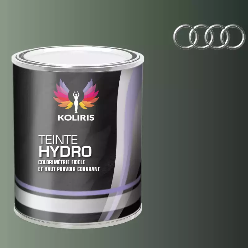 Peinture voiture hydro Audi