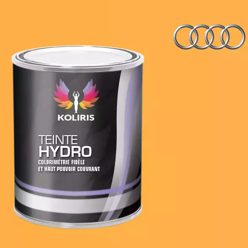 Peinture voiture hydro Audi