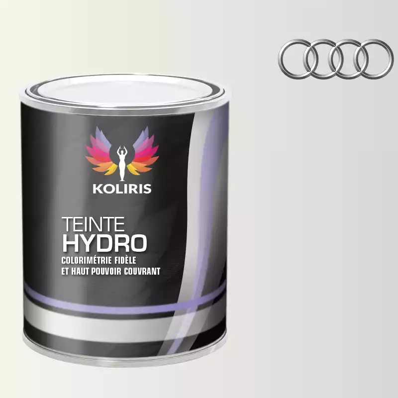 Peinture voiture hydro Audi