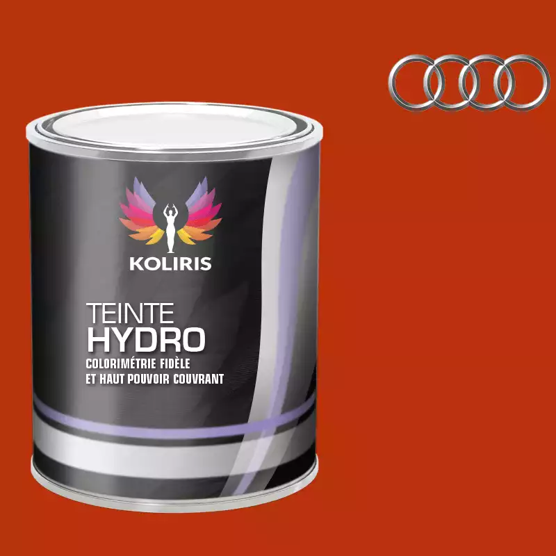 Peinture voiture hydro Audi