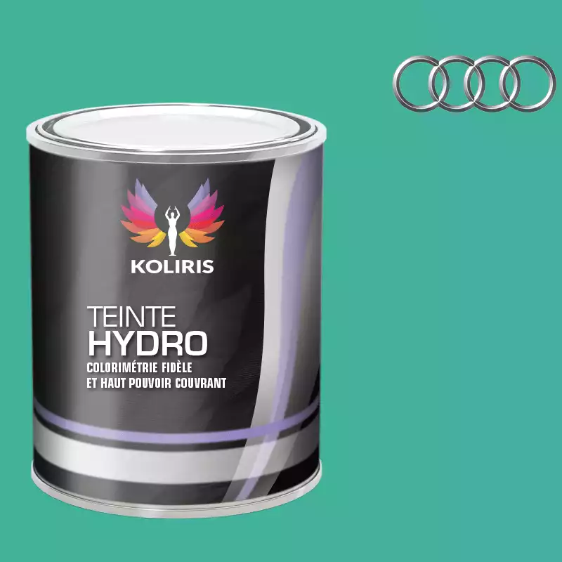 Peinture voiture hydro Audi