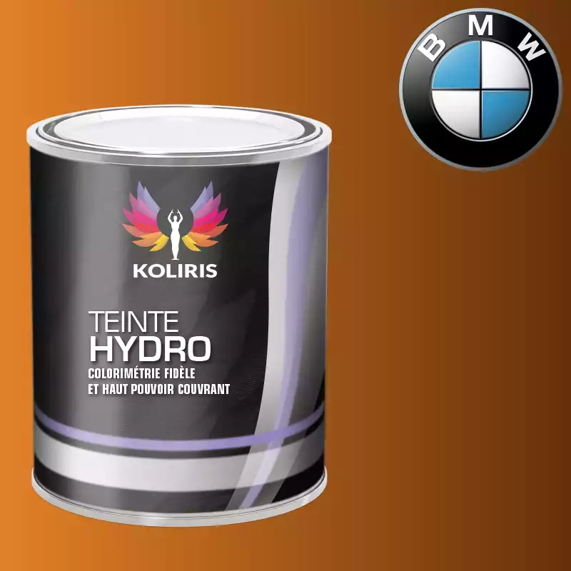 Peinture voiture hydro Bmw