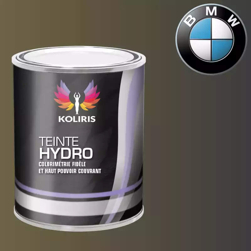 Peinture voiture hydro Bmw