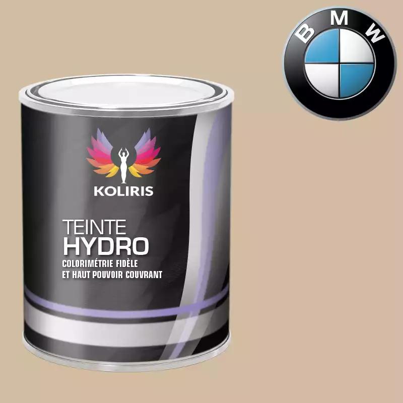 Peinture voiture hydro Bmw