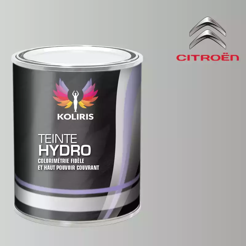 Peinture voiture hydro Citroën