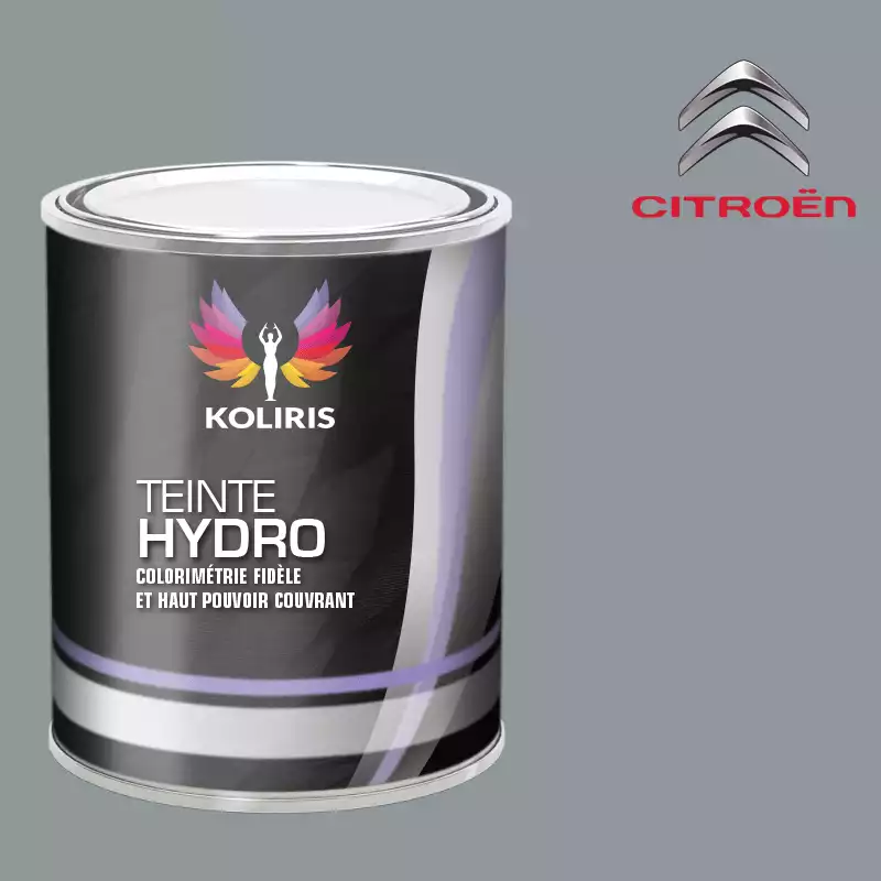 Peinture voiture hydro Citroën