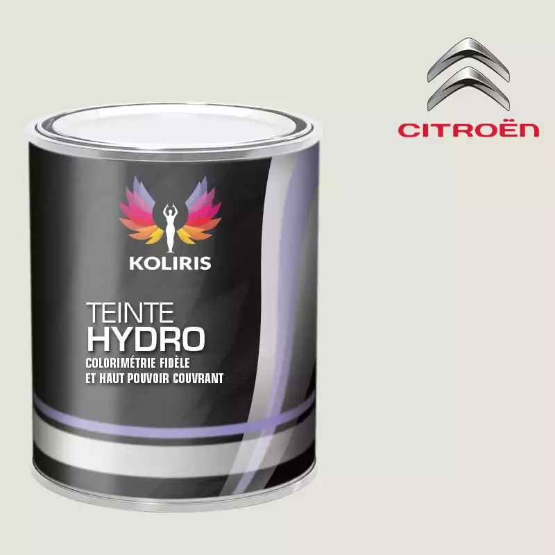 Peinture voiture hydro Citroën