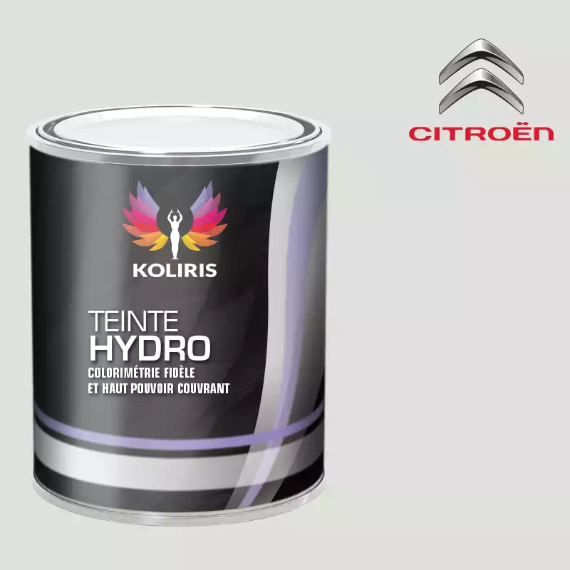 Peinture voiture hydro Citroën