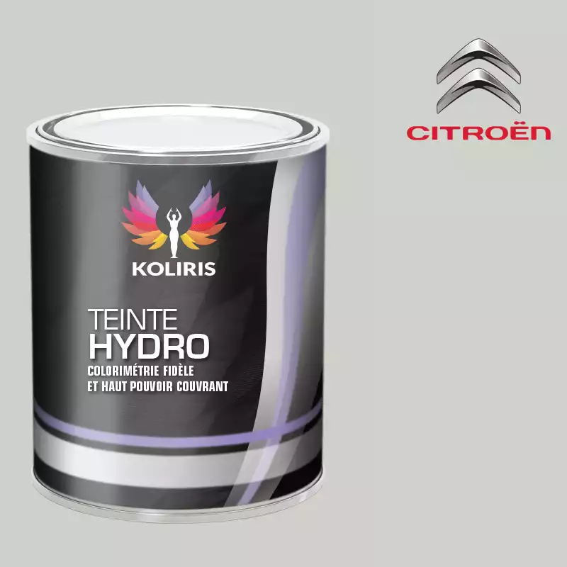 Peinture voiture hydro Citroën