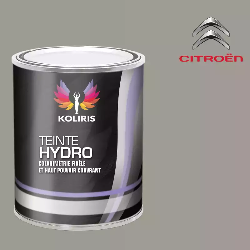 Peinture voiture hydro Citroën