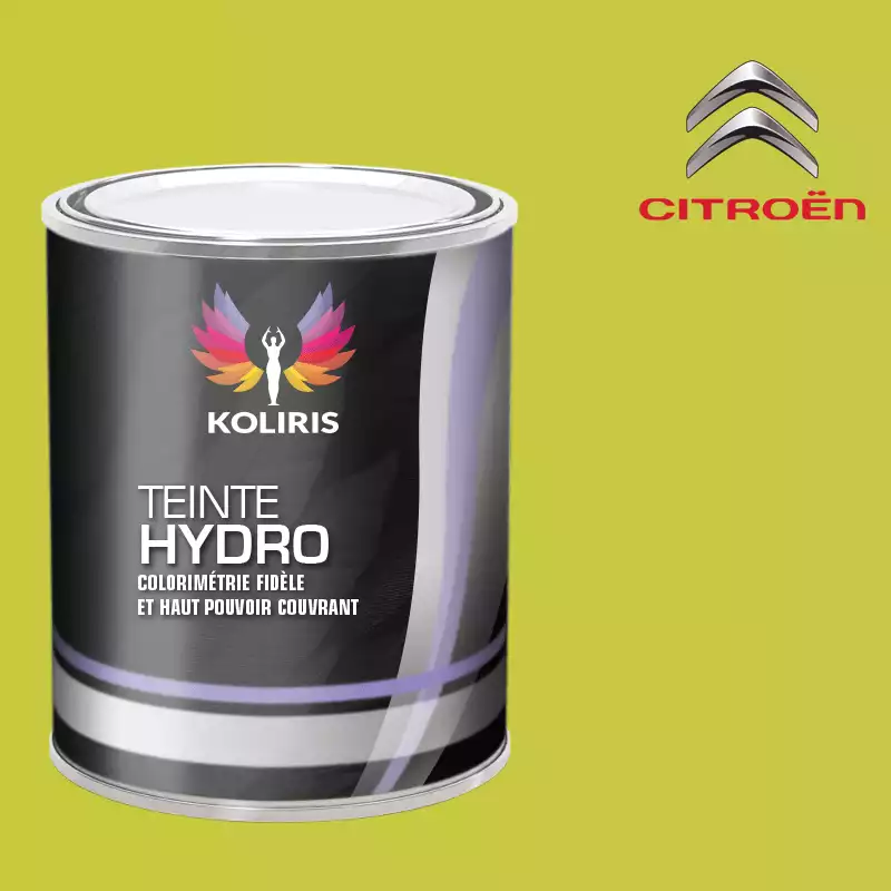 Peinture voiture hydro Citroën