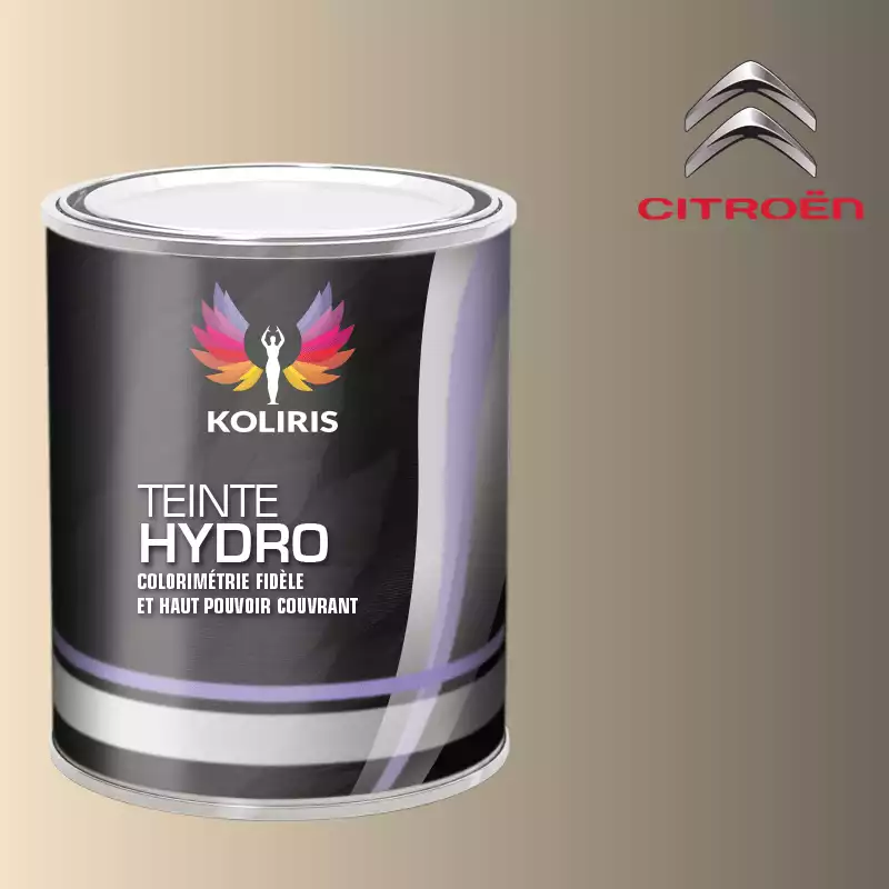 Peinture voiture hydro Citroën