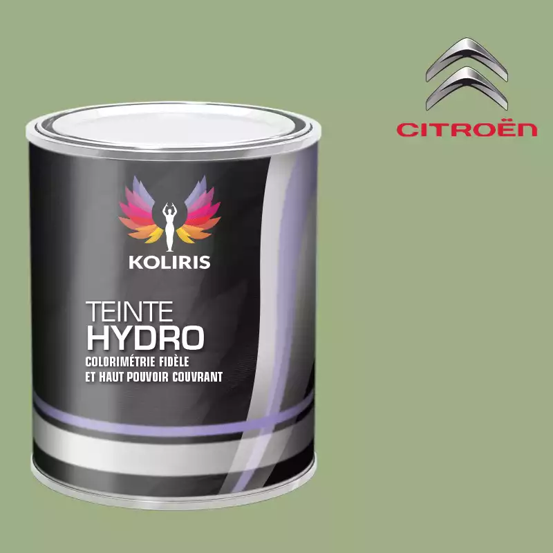 Peinture voiture hydro Citroën