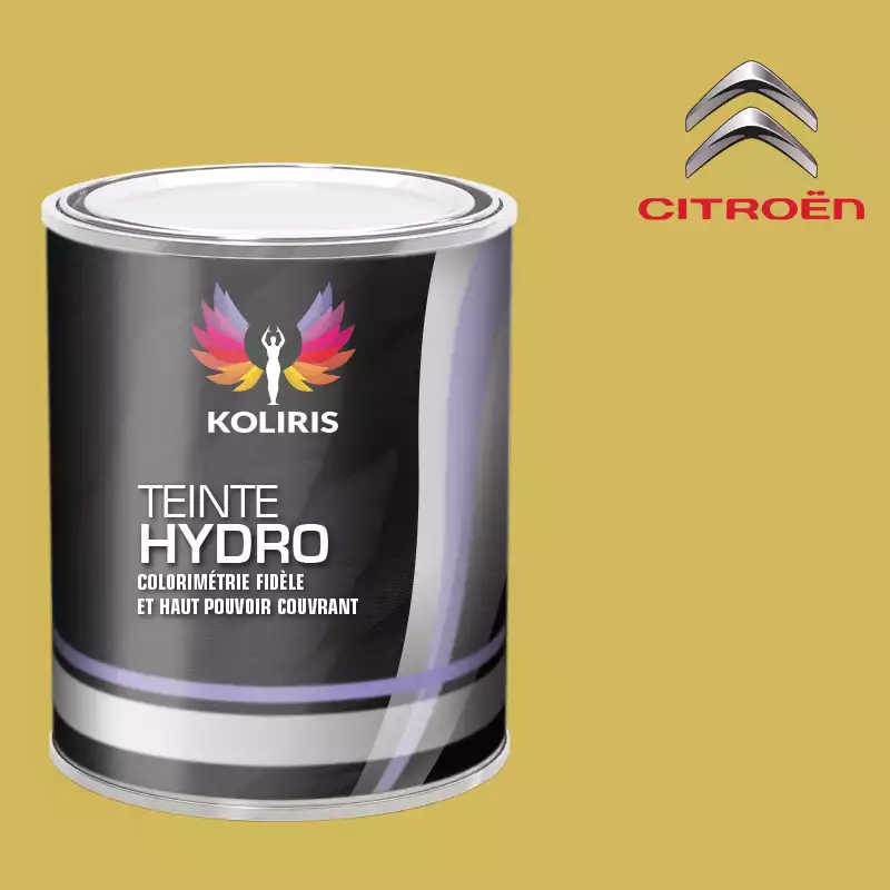 Peinture voiture hydro Citroën