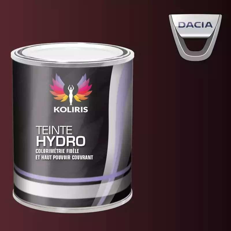 Peinture voiture hydro Dacia