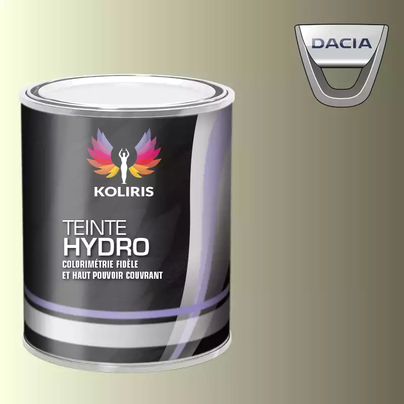 Peinture voiture hydro Dacia