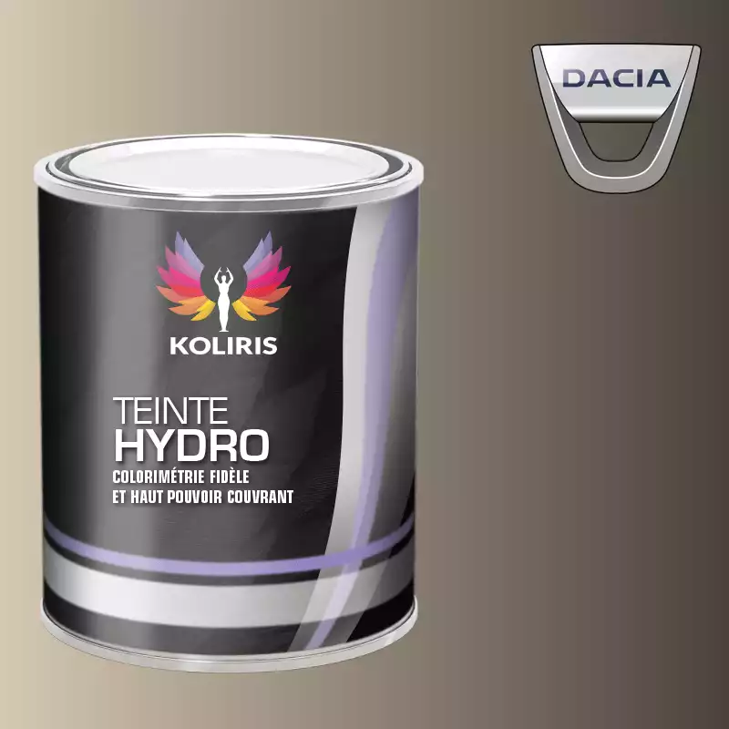 Peinture voiture hydro Dacia