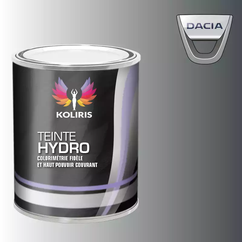 Peinture voiture hydro Dacia