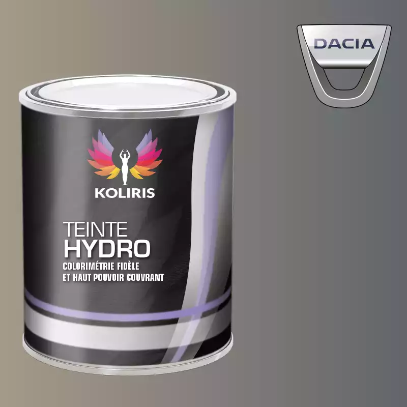 Peinture voiture hydro Dacia