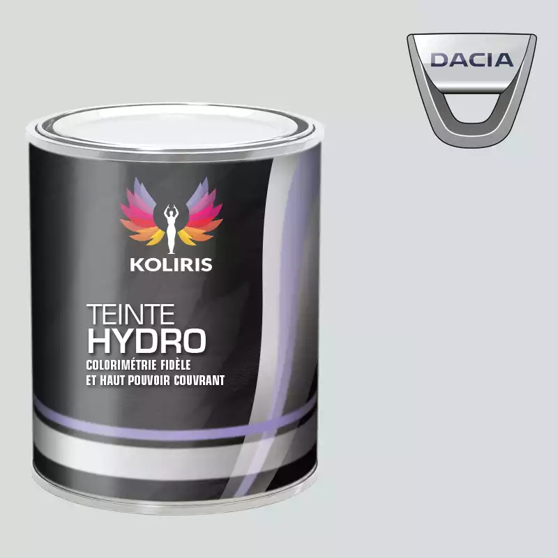 Peinture voiture hydro Dacia