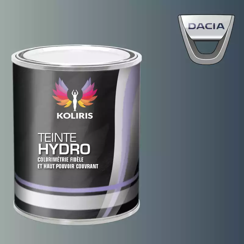 Peinture voiture hydro Dacia