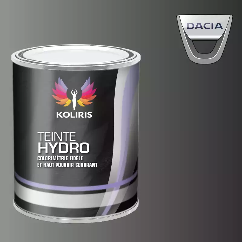 Peinture voiture hydro Dacia