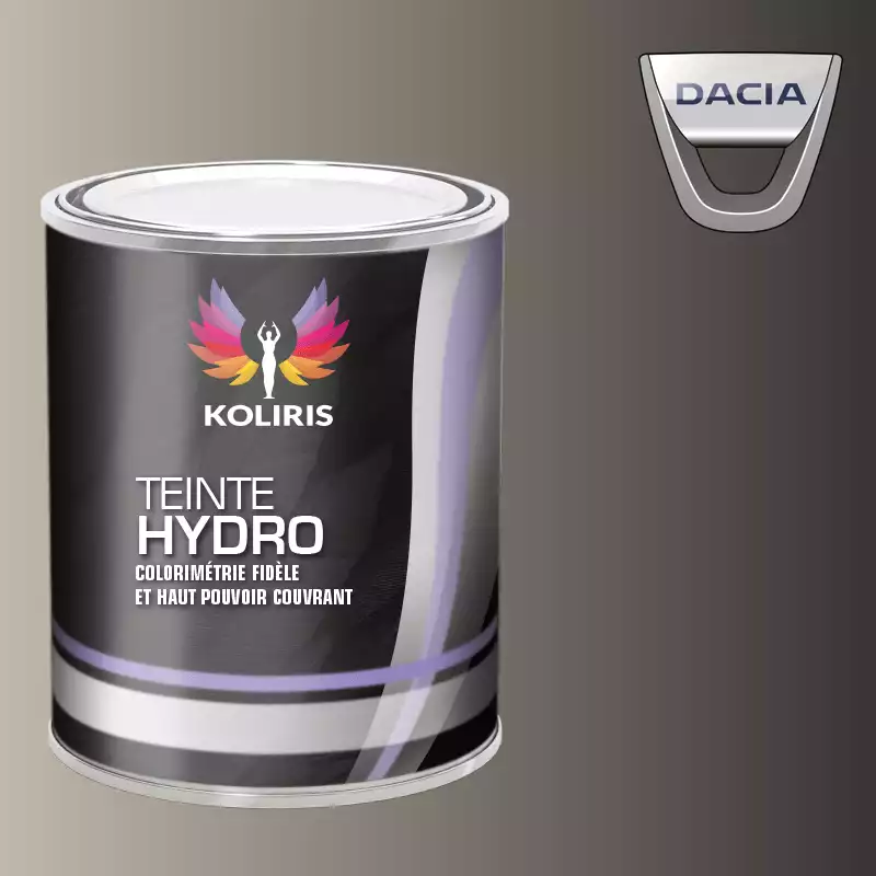 Peinture voiture hydro Dacia