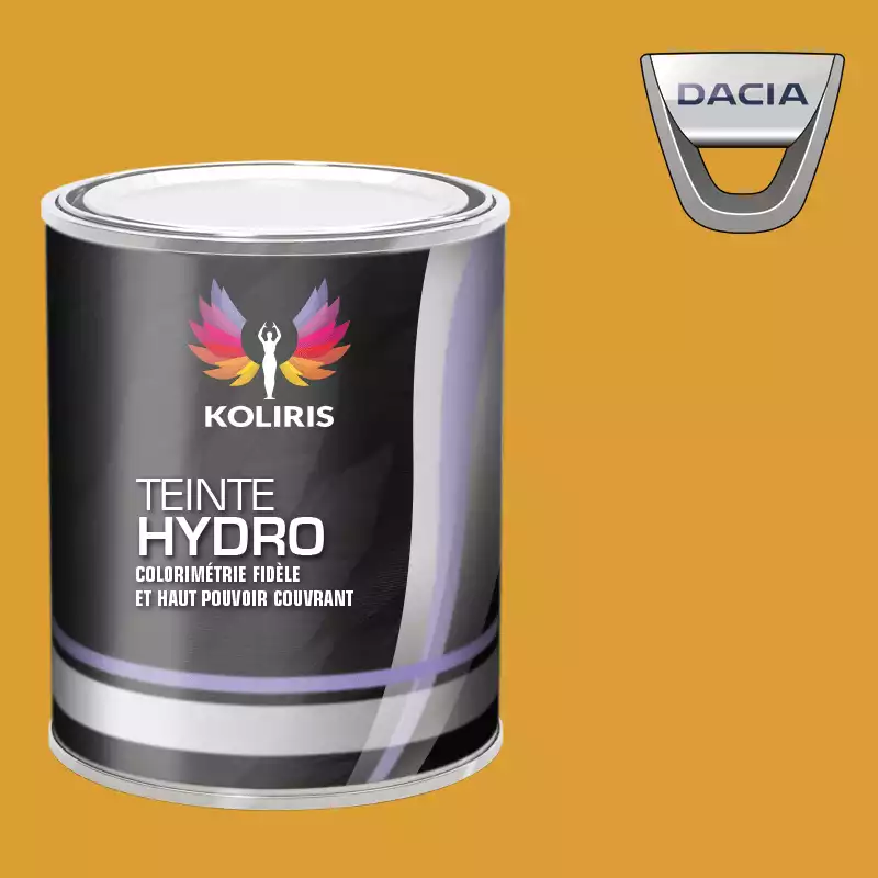 Peinture voiture hydro Dacia