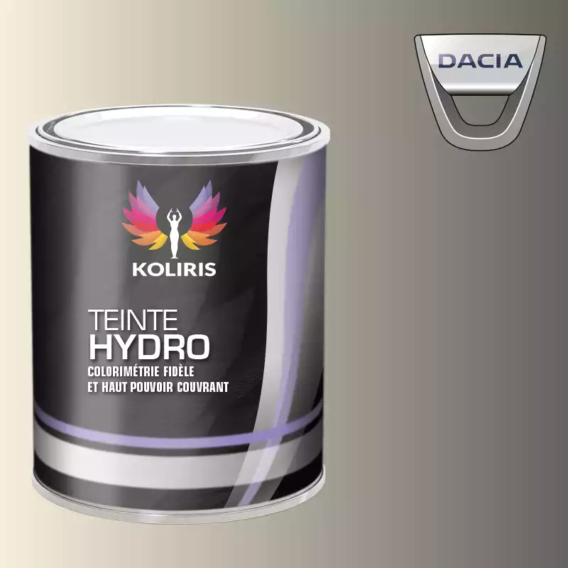 Peinture voiture hydro Dacia