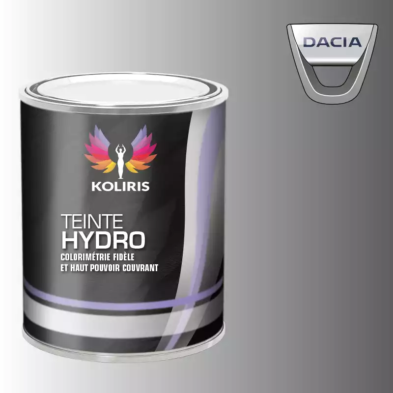 Peinture voiture hydro Dacia