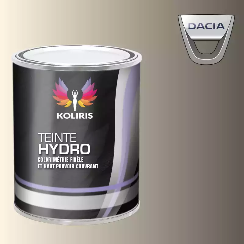 Peinture voiture hydro Dacia