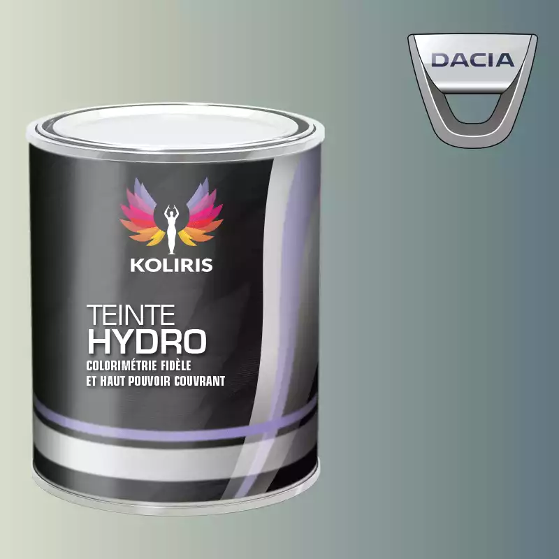 Peinture voiture hydro Dacia