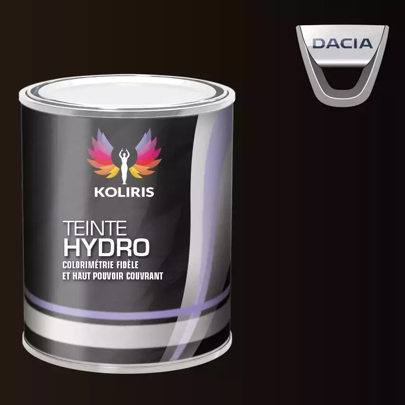 Peinture voiture hydro Dacia