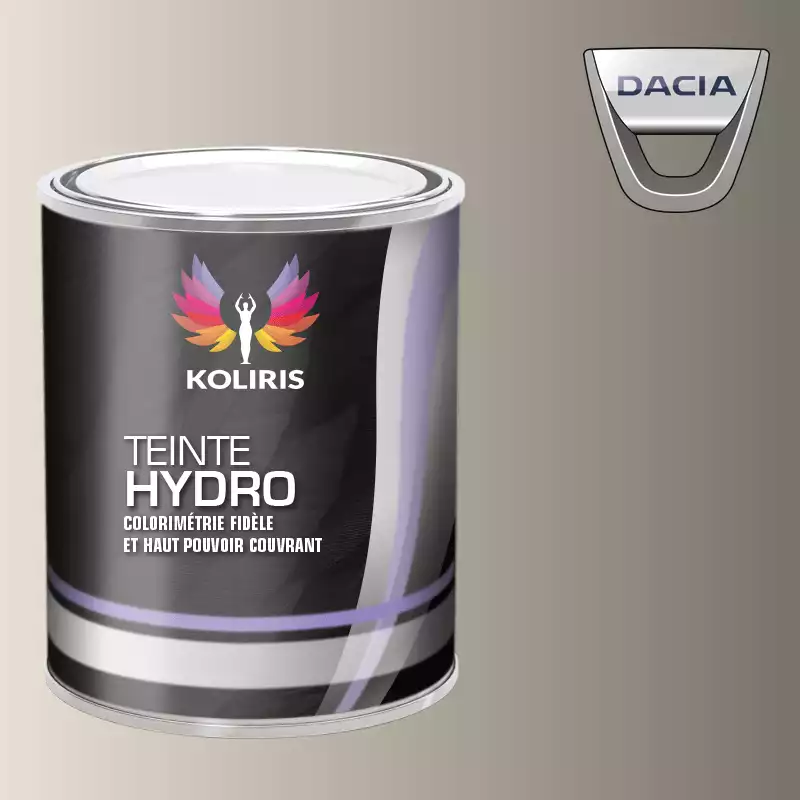 Peinture voiture hydro Dacia